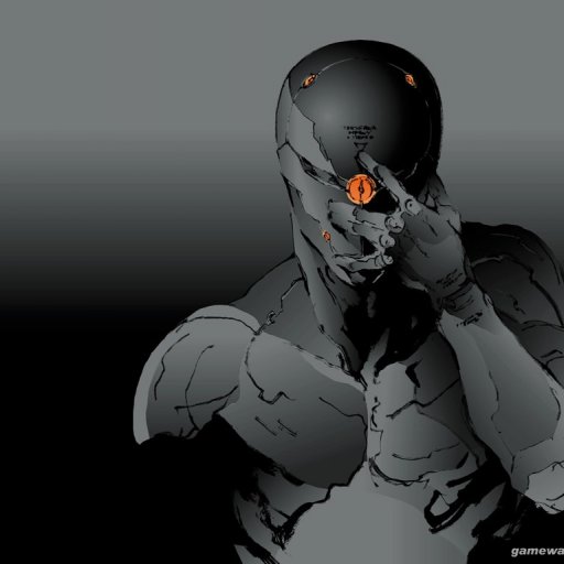 grayfox77