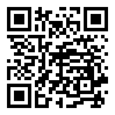 QR 13383