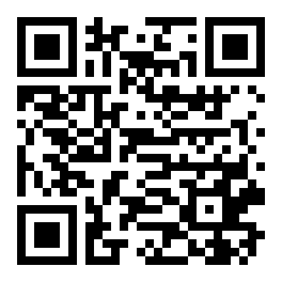 QR 6333