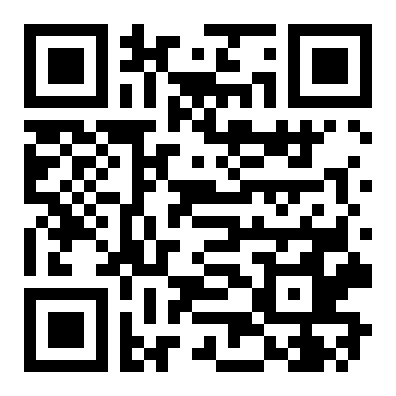 QR 8333