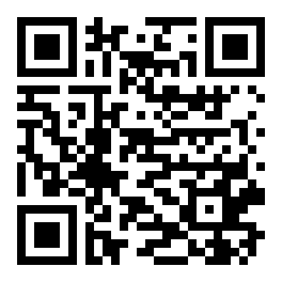 QR 9691